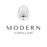    Modern Flowers and Farm