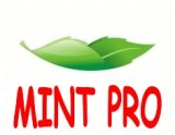 ������ � �������� ������������ MINT PRO