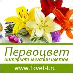 ������ � �������� 1cvet