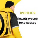 ������ � �������� PROFIMONSTERS