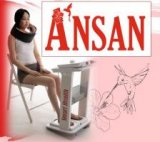 ������ � �������� ANSAN