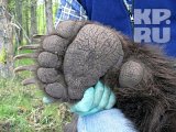 ������ � �������� �����������������