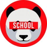    Stereo Panda School