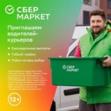 ������ � �������� PROFIMONSTERS