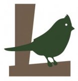 ������ � �������� �������� ���� ����