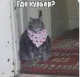 ������ � �������� PROFIMONSTERS