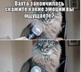 ������ � �������� PROFIMONSTERS