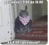 ������ � �������� PROFIMONSTERS