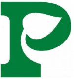 ������ � �������� �������� ����