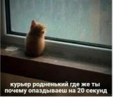 ������ � �������� PROFIMONSTERS