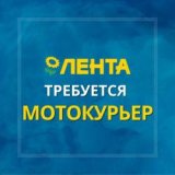 ������ � �������� PROFIMONSTERS