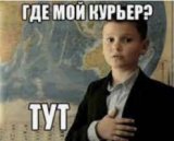 ������ � �������� PROFIMONSTERS