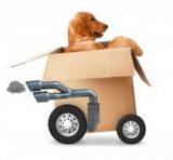 ������ � �������� PROFIMONSTERS