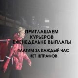 ������ � �������� PROFIMONSTERS