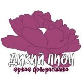 ������ � �������� ����� ���� ������ ����������