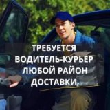 ������ � �������� PROFIMONSTERS