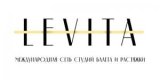 ������ � �������� Levita
