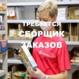 ������ � �������� PROFIMONSTERS