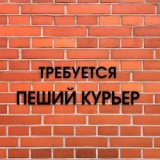 ������ � �������� PROFIMONSTERS