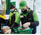 ������ � �������� PROFIMONSTERS