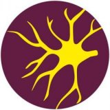 ������ � �������� ����� ��������������� � ��������� ���������