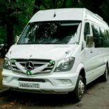 ������ � �������� ��� ���� ��������