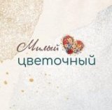 ������ � �������� ����� ���������