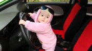 �������� �������� "Domivan"�������� ������